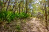 790 Wisemans Ferry Road, Somersby, NSW 2250-Image