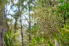 790 Wisemans Ferry Road, Somersby, NSW 2250-Image