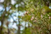 790 Wisemans Ferry Road, Somersby, NSW 2250-Image