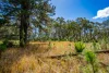 790 Wisemans Ferry Road, Somersby, NSW 2250-Image