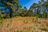 790 Wisemans Ferry Road, Somersby, NSW 2250-Image