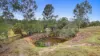 795 Mungar Road, Grahams Creek, Qld 4650-Image