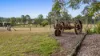 795 Mungar Road, Grahams Creek, Qld 4650-Image