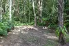 8-16 Seymour Close, Rosemount, Qld 4560-Image