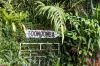 8-16 Seymour Close, Rosemount, Qld 4560-Image