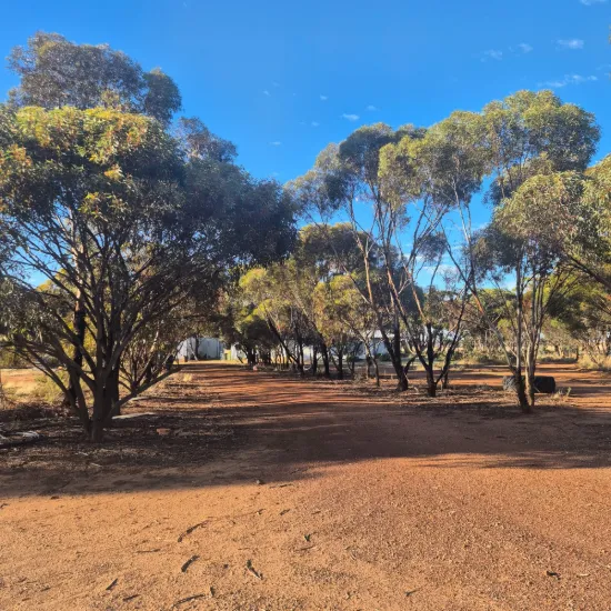 8 Cook Street, Kondinin, WA 6367