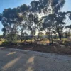 8 Cook Street, Kondinin, WA 6367-Image