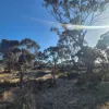 8 Cook Street, Kondinin, WA 6367-Image