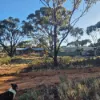 8 Cook Street, Kondinin, WA 6367-Image