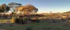 8 Cook Street, Kondinin, WA 6367-Image
