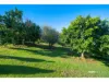 8 Esmaurel Close, Mapleton, Qld 4560-Image