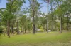 8 Glider Spur, Kew, NSW 2439-Image