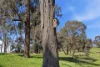 8 Illawong Road, Markwood, Vic 3678-Image
