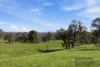 8 Illawong Road, Markwood, Vic 3678-Image