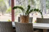 8 Jack Court, Murphys Creek, Qld 4352-Image