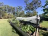 8 One World Drive, Redridge, Qld 4660-Image