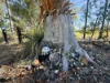8 One World Drive, Redridge, Qld 4660-Image