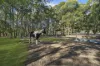 8 Sandy Creek Road, Mount Vincent, NSW 2323-Image