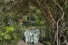 8 Sandy Creek Road, Mount Vincent, NSW 2323-Image