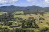8 Sandy Creek Road, Mount Vincent, NSW 2323-Image