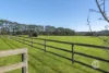 8 Wonderland Avenue, Tuerong, Vic 3915-Image