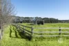 8 Wonderland Avenue, Tuerong, Vic 3915-Image
