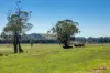 80 Burnhams Lane, Exeter, NSW 2579-Image