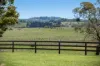 80 Burnhams Lane, Exeter, NSW 2579-Image