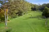 80 Dog Trap Road, Ourimbah, NSW 2258-Image
