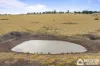 80 Lone Hand Road, Allendale, Vic 3364-Image