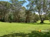 80 Macarthur Drive, Wilton, NSW 2571-Image