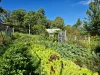 80 Margaret Park Road, Brogo, NSW 2550-Image