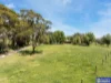 80 Noaki Street, Pearcedale, Vic 3912-Image