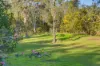 80 Shallow Bay Road, Coomba Bay, NSW 2428-Image