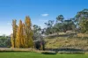 80 Thomas Kite Lane, Orange, NSW 2800-Image