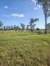 808 Pine Creek Road, Givelda, Qld 4670-Image