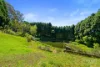 81 Berambing Crest, Berambing, NSW 2758-Image