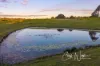 81 Settlement Road, Mount Mee, Qld 4521-Image