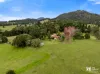 814 Numinbah Road, Crystal Creek, NSW 2484-Image