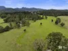 814 Numinbah Road, Crystal Creek, NSW 2484-Image