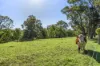 815 Comleroy Road, Kurrajong, NSW 2758-Image