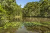 815 Comleroy Road, Kurrajong, NSW 2758-Image