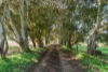 819 Hunwick Road, Redmond West, WA 6327-Image