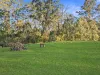 82 Stannix Park Lane, Wilberforce, NSW 2756-Image