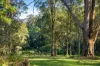 82 Thorburn Street, Nimbin, NSW 2480-Image