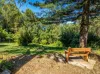 82 Thorburn Street, Nimbin, NSW 2480-Image