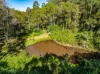 82 Thorburn Street, Nimbin, NSW 2480-Image