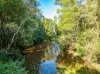 82 Thorburn Street, Nimbin, NSW 2480-Image