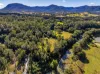 82 Thorburn Street, Nimbin, NSW 2480-Image