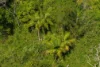 824 Batar Creek Rd, Batar Creek, NSW 2439-Image